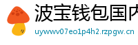 波宝钱包国内下载